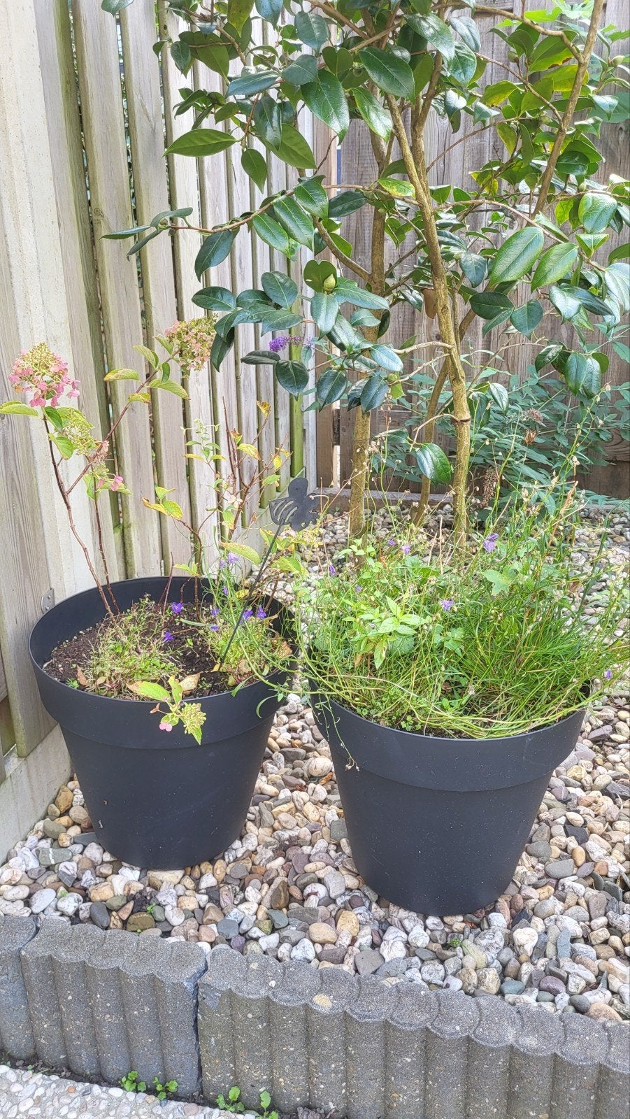 2 Grote kunststof bloempotten met beplanting, Ophalen, Kunststof, Gebruikt, Rond