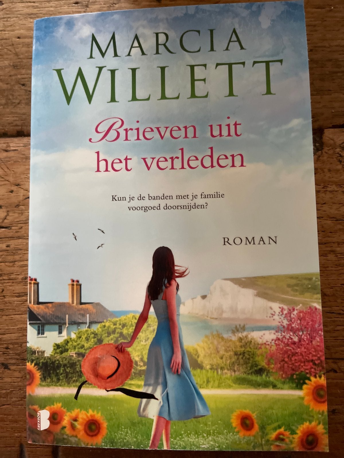 Marcia Willett - Brieven uit het verleden (Roman), Ophalen of Verzenden, Gelezen, Nederland