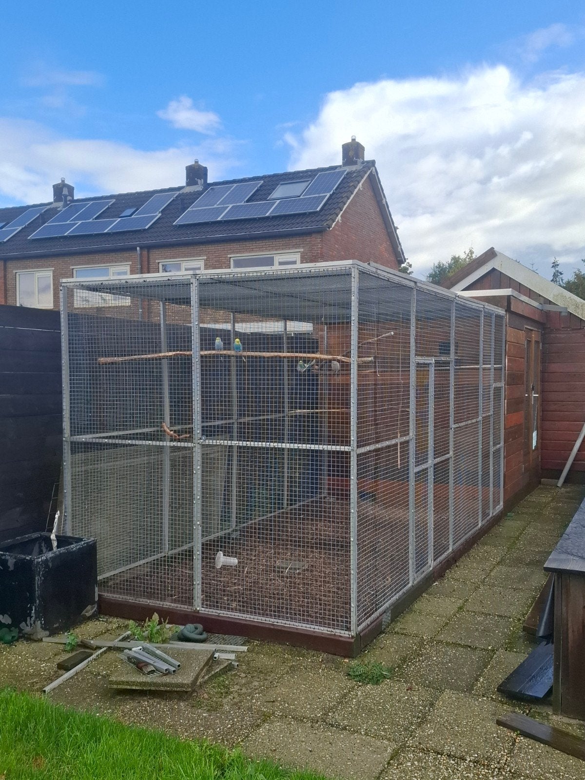 voliere met vogels te koop, Dieren en Toebehoren, Ophalen, Aluminium, Volière