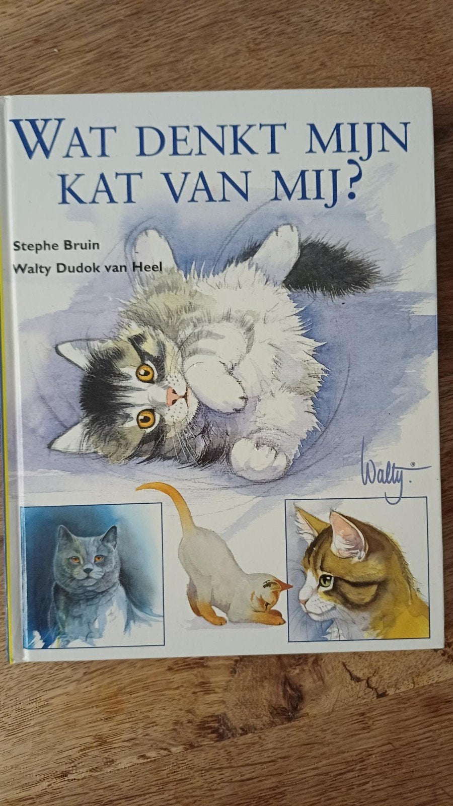 S. Bruin - Wat denkt mijn kat van mij?, Boeken, Gelezen, S. Bruin, Ophalen of Verzenden, Paarden of Pony's