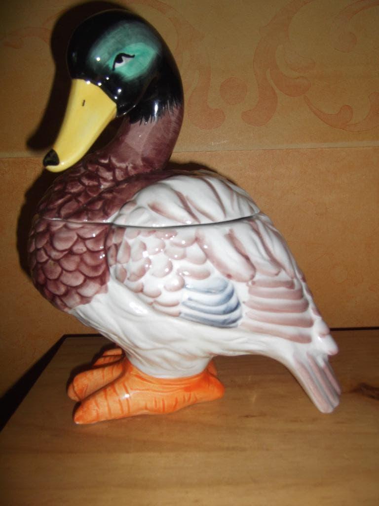 *Eend tweedelig*, Ophalen of Verzenden, Nieuw, Meerkleurig, Landelijk