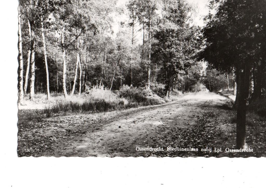 Ossendrecht. Bieduinenlaan nabij Lpl. Ossendrecht. **, Ophalen of Verzenden, 1960 tot 1980, Ongelopen, Noord-Brabant