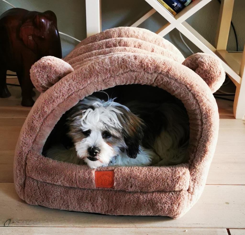 Hondje mandje, Dieren en Toebehoren, Ophalen