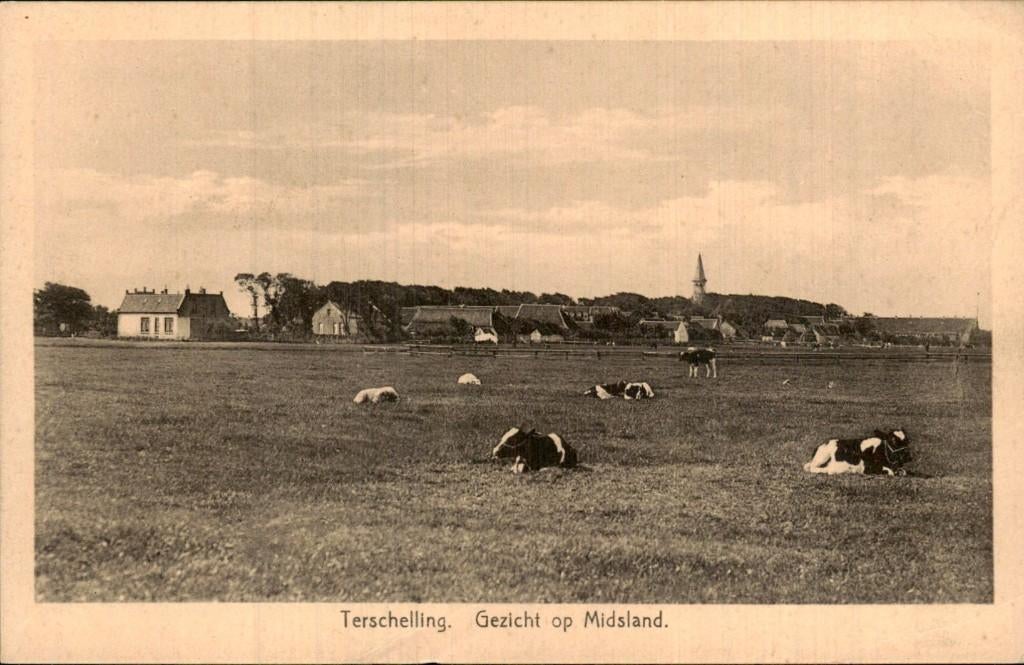 Terschelling - Gezicht - Midsland, Ophalen of Verzenden, Voor 1920, Ongelopen, Friesland