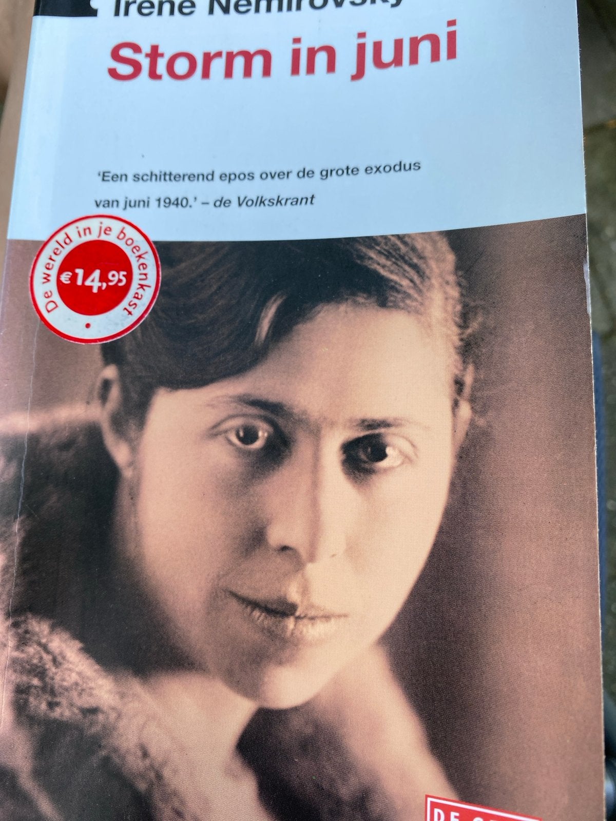 Storm in juni - Irène Némirovsky (Boek), Ophalen of Verzenden, Gelezen, Europa overig