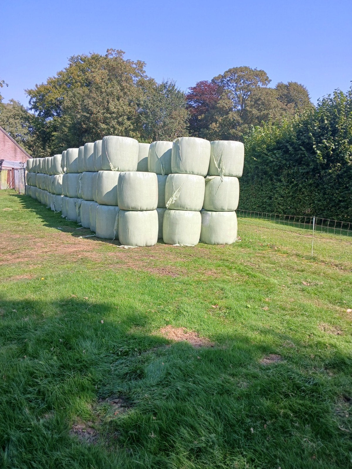 Hooi pakjes en Midibaaltjes voordroog hooi  te koop, Ophalen, Vee