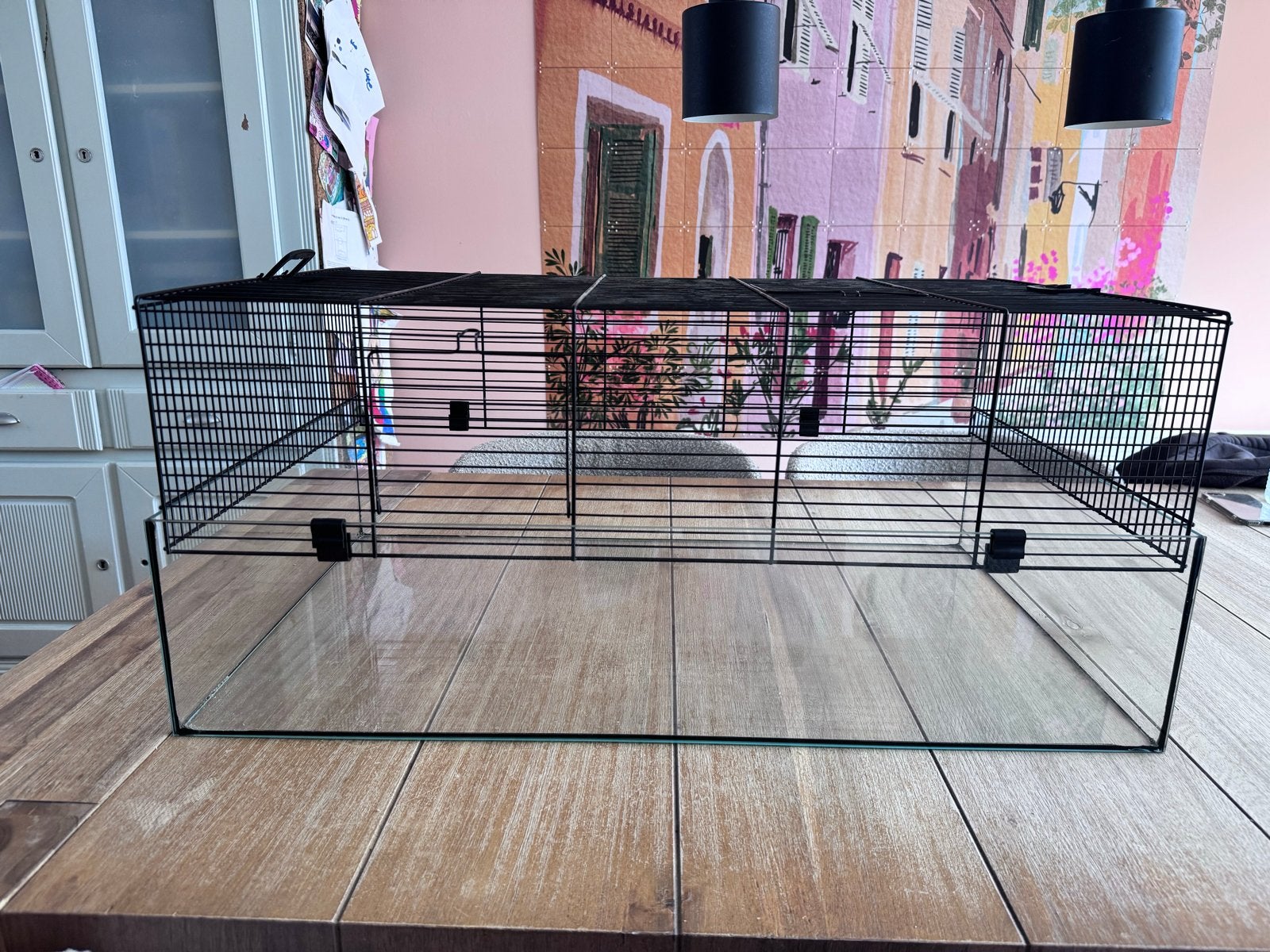 Hamsterkooi 78x47 cm + gratis looprad | Zo goed als nieuw, Kooi, Minder dan 75 cm, Zo goed als nieuw, Hamster