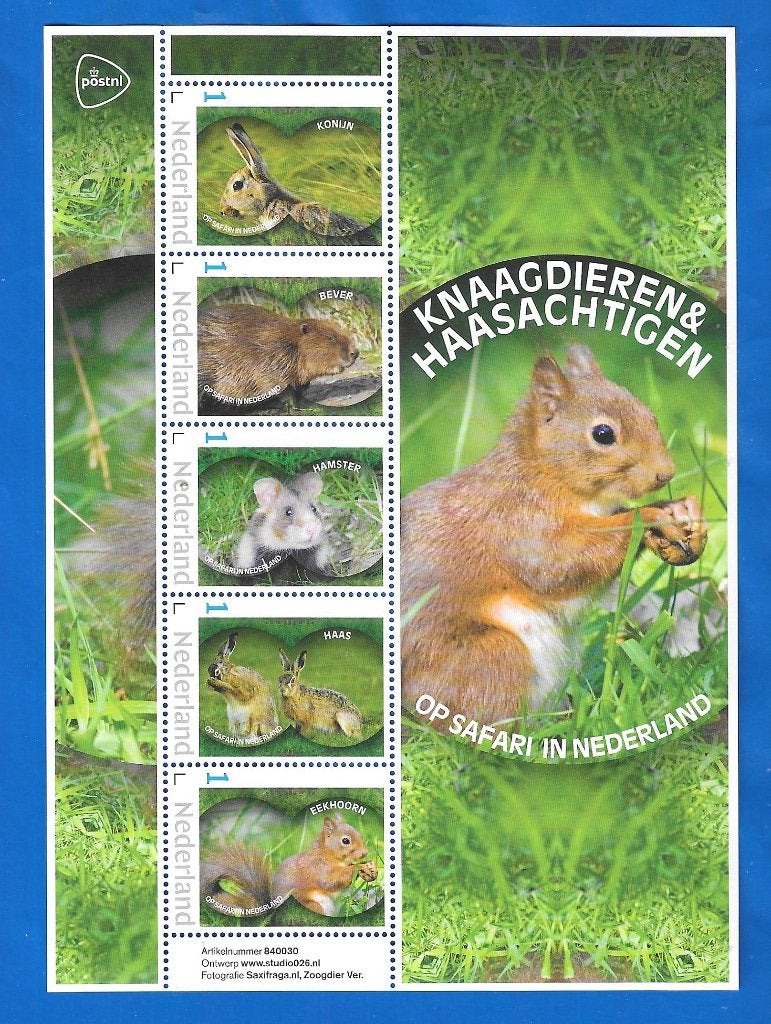 Op safari in Nederland Knaagdieren & haasachtigen (vel) 2, Verzenden, Na 1940, Postfris