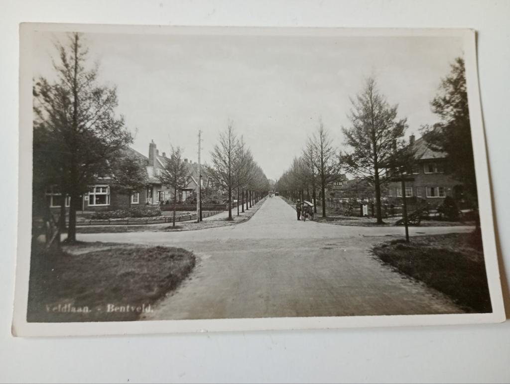 Fotokaart Bentveld bij Zandvoort Veldlaan, Ophalen of Verzenden, 1920 tot 1940, Ongelopen, Noord-Holland