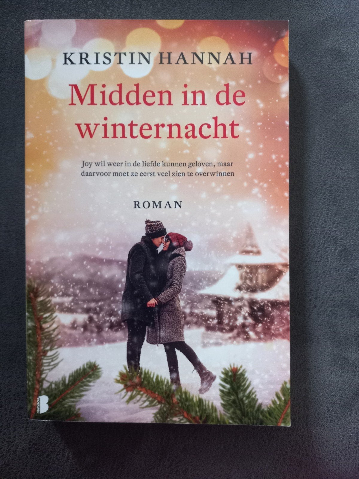 Midden in de winternacht - Kristin Hannah (Roman), Ophalen, Gelezen, Kristin Hannah, Nederland