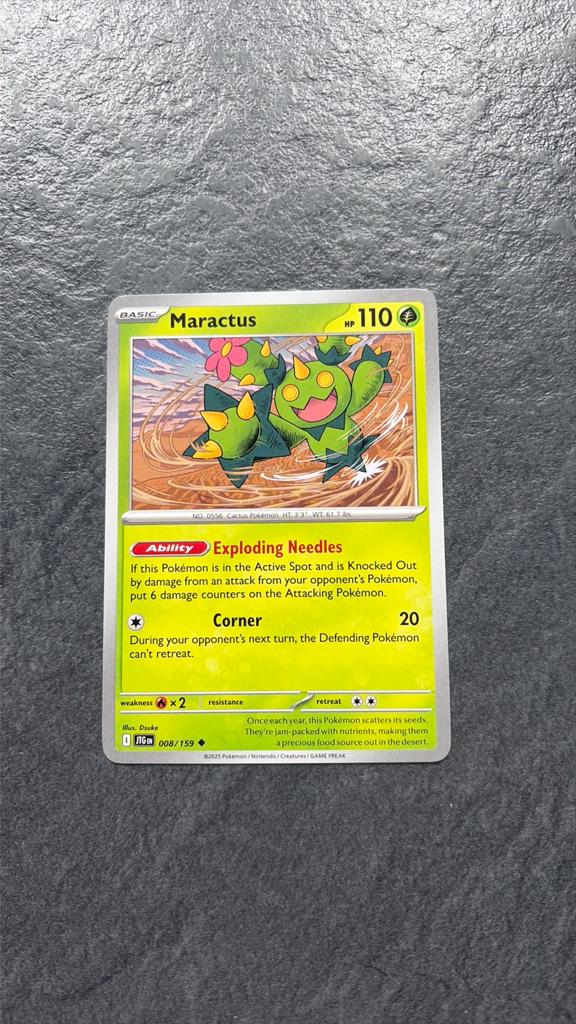 Maractus, Ophalen of Verzenden, Zo goed als nieuw