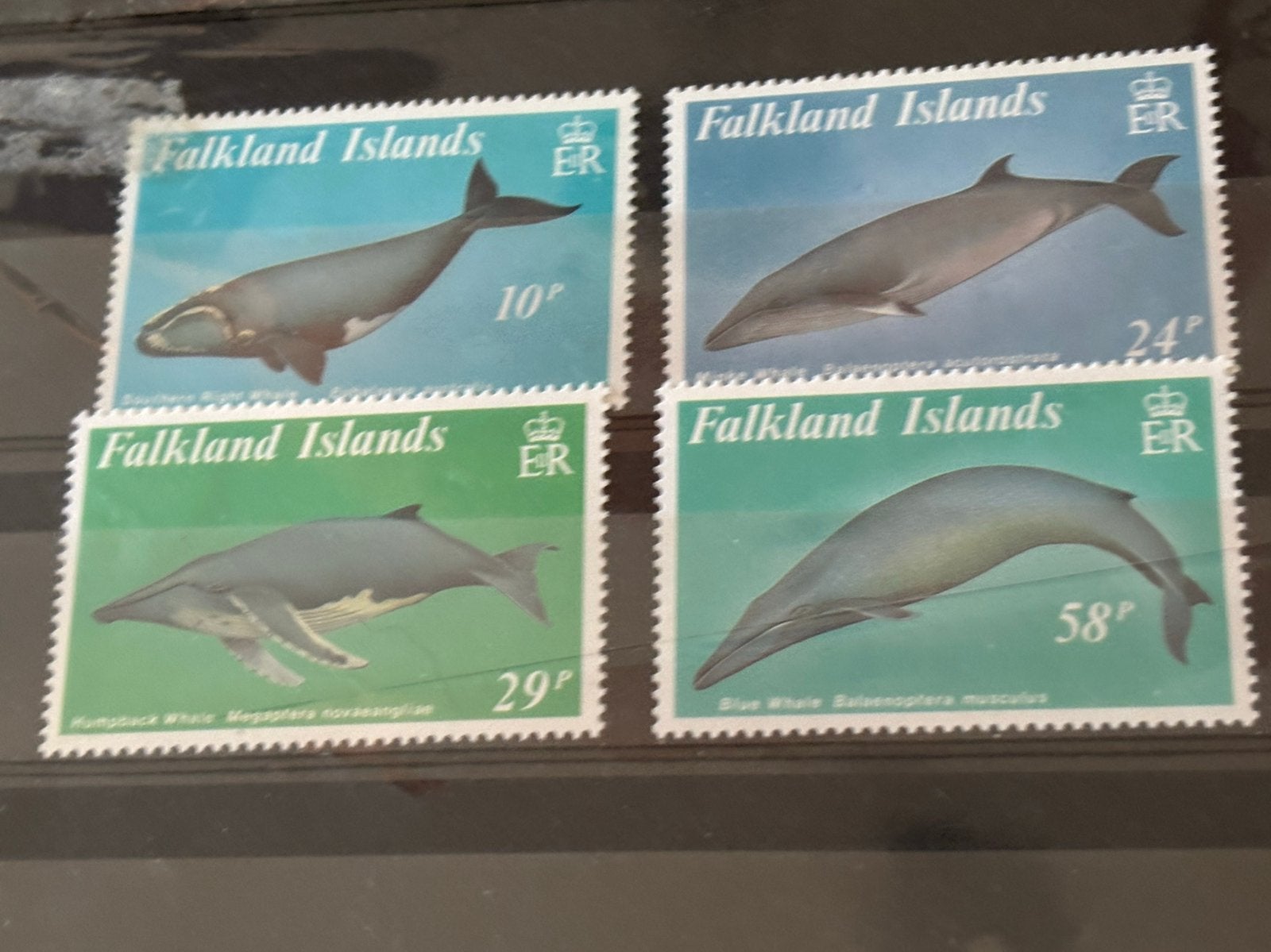 Falkland 1989, Ophalen of Verzenden, Postfris