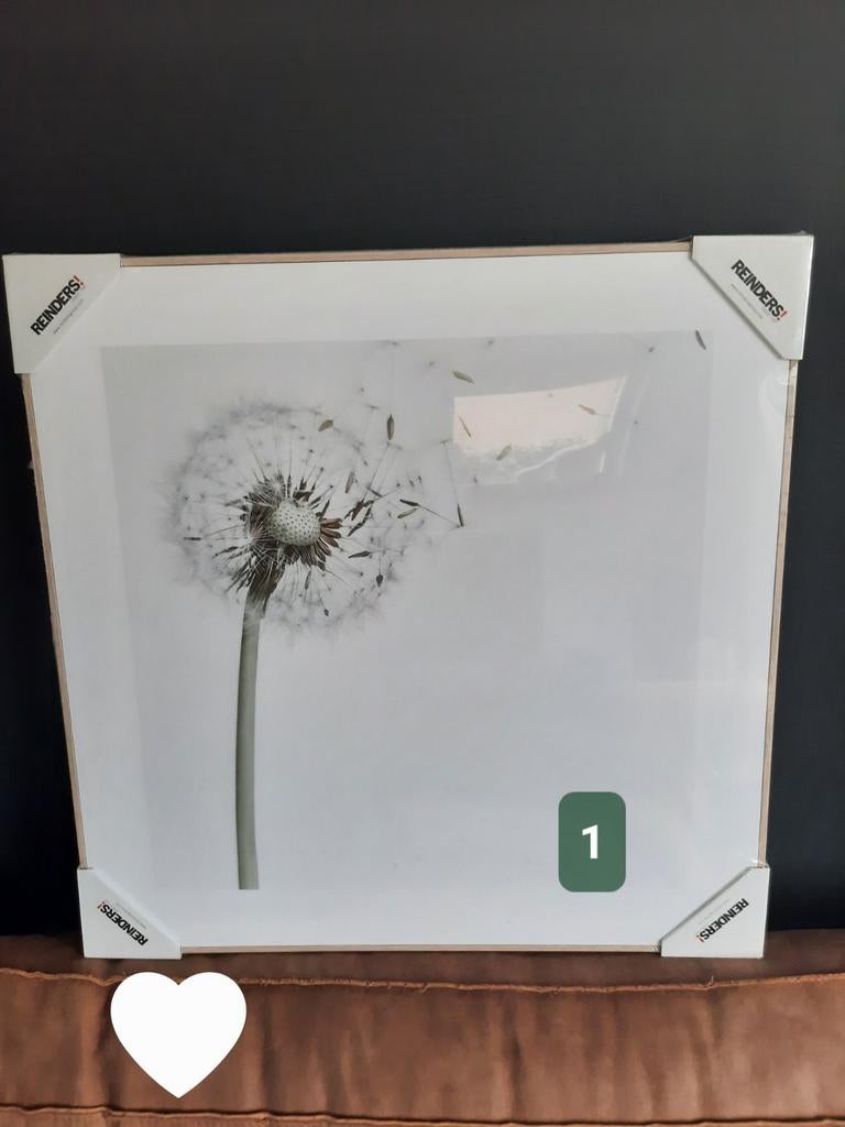 Schilderijen Reinders natuurlijke prints, Ophalen of Verzenden, Nieuw, Minder dan 50 cm, Schilderij