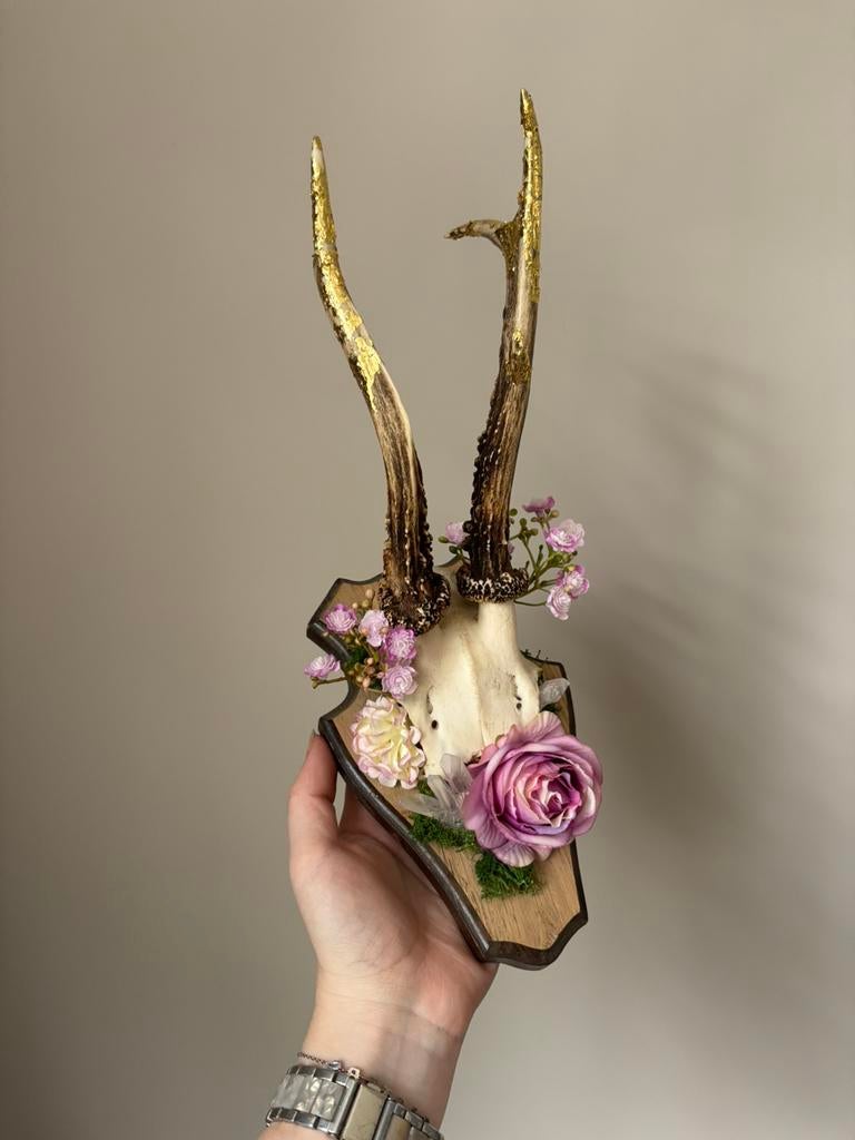 Reebok schedel/gewei - met kunstbloemen en edelstenen, Ophalen of Verzenden, Hert, Schedel