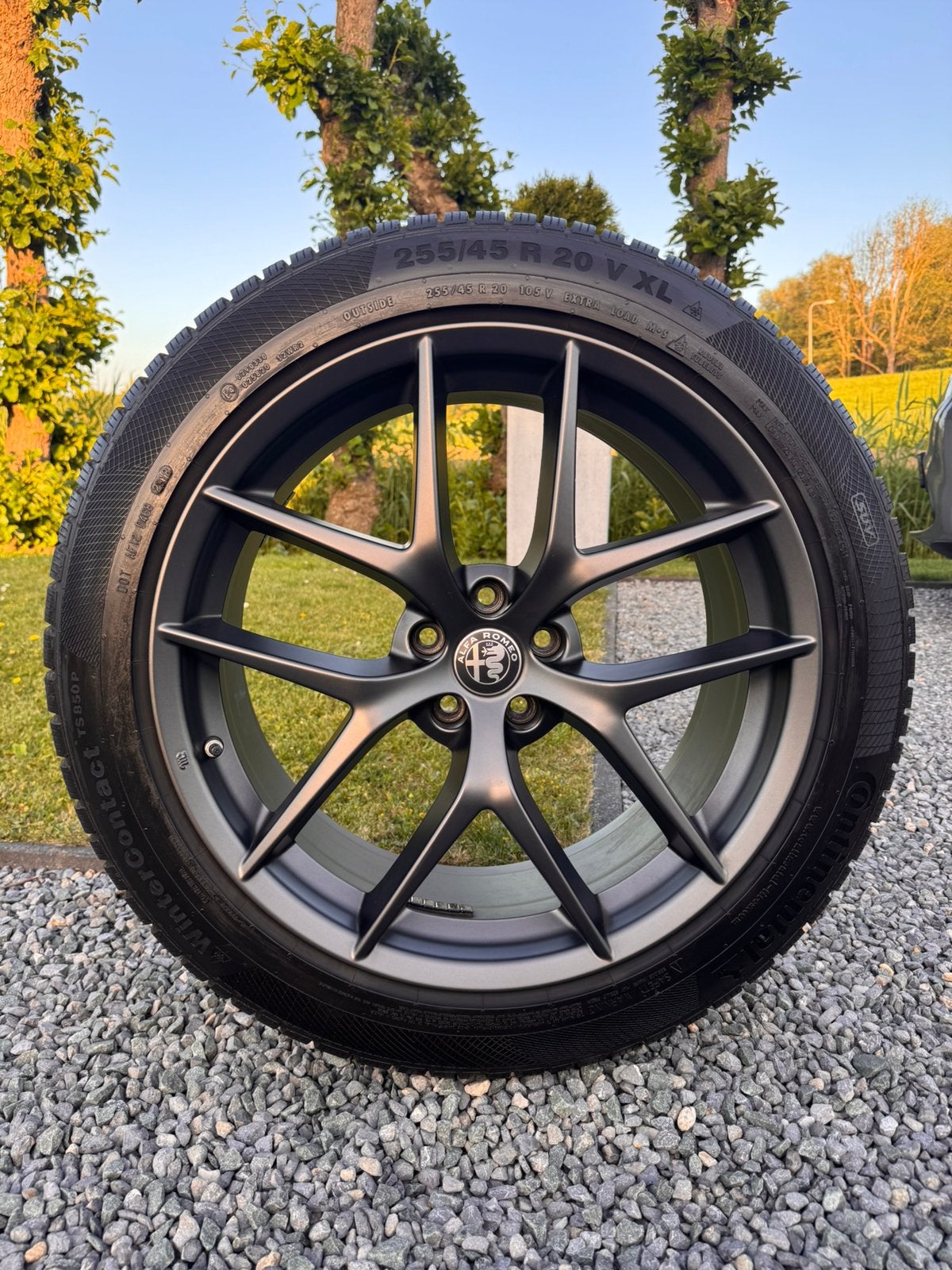 20 inch Alfa Romeo Stelvio Origineel Winterband Continental, Ophalen, 255 mm, Banden en Velgen, Winterbanden