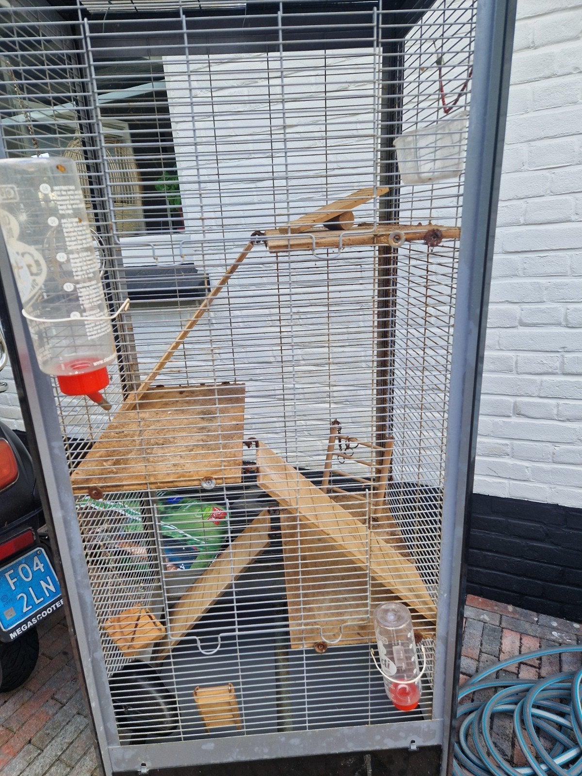 Grote kooi voor fretten, ratten of vogels, Dieren en Toebehoren, Vogels | Hokken en Kooien, Gebruikt, Vogelkooi, Metaal, Ophalen of Verzenden