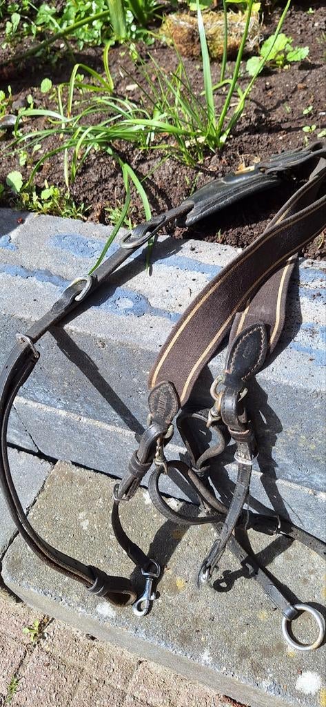 Borsttuig met martingaal maat pony, Dieren en Toebehoren, Ophalen of Verzenden, Gebruikt, Overige soorten