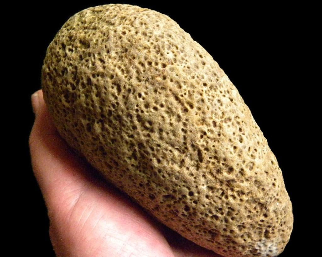 Hexismia? Koraal fossiel Vroeg Siluur Bodemvondst NLD 1.3 kg, Verzamelen, Mineralen en Fossielen, Ophalen of Verzenden, Fossiel