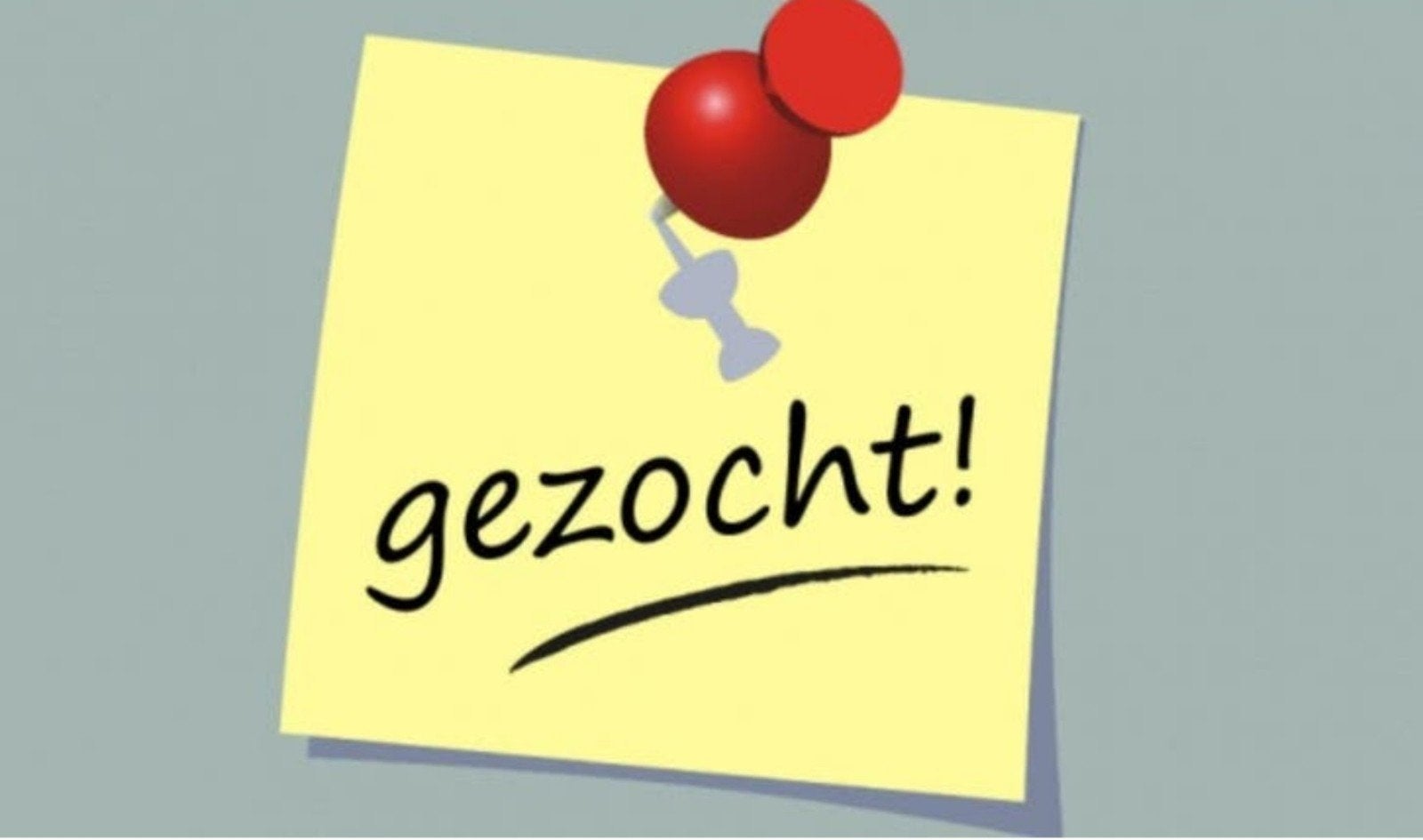 Gezocht thuiswerk gezocht, Vacatures, Vacatures | Thuiswerk, Overige niveaus, Starter, Overige vormen
