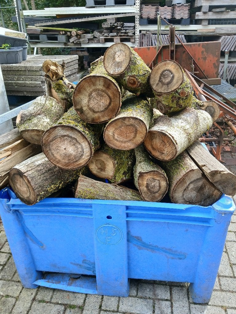 brandhout populier, Minder dan 3 m³, Ophalen, Stammen