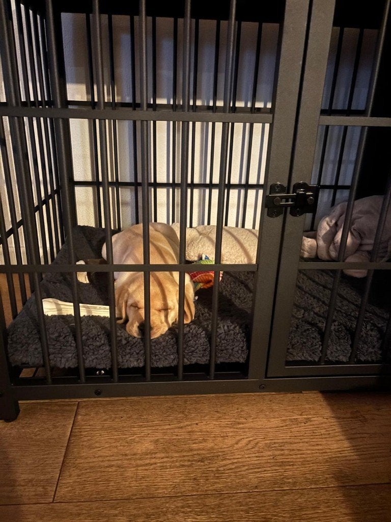 Honden Bench met houten bovenkant en 3 deurtjes, Dieren en Toebehoren, Ophalen, Gebruikt