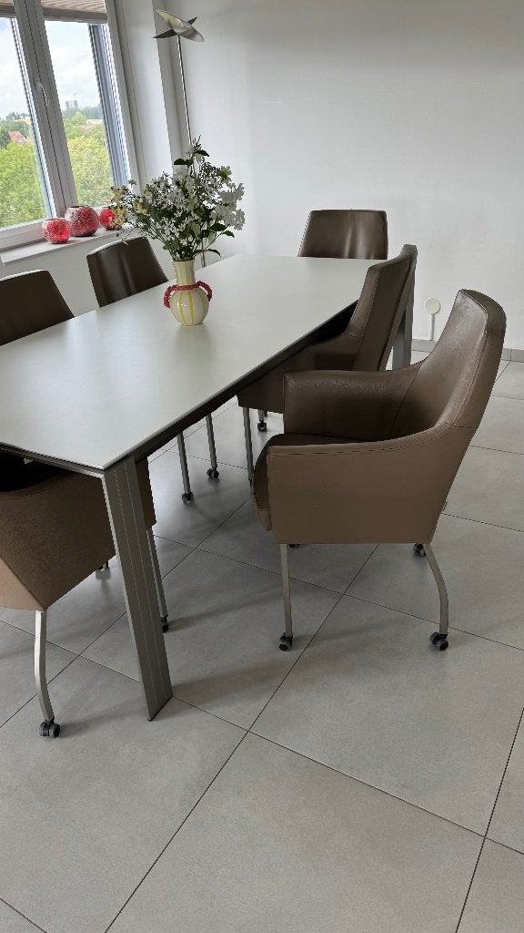 Bieden 6 leren eetkamerstoelen Brees New World (mocca/taupe), Ophalen, Overige kleuren, Modern als klassieke stijl, Zo goed als nieuw