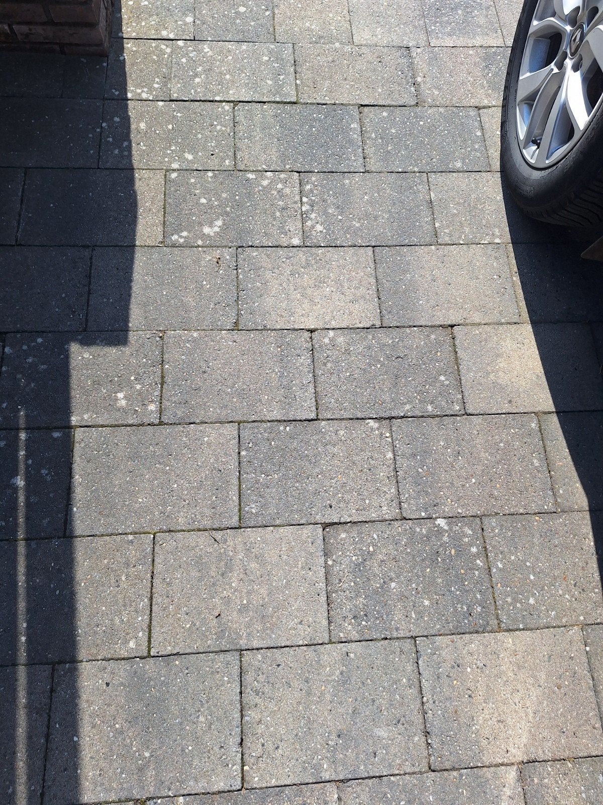 Terrastegels 30x20 cm (minimaal 19,5 m²), Ophalen, Gebruikt, 10 m² of meer, Beton