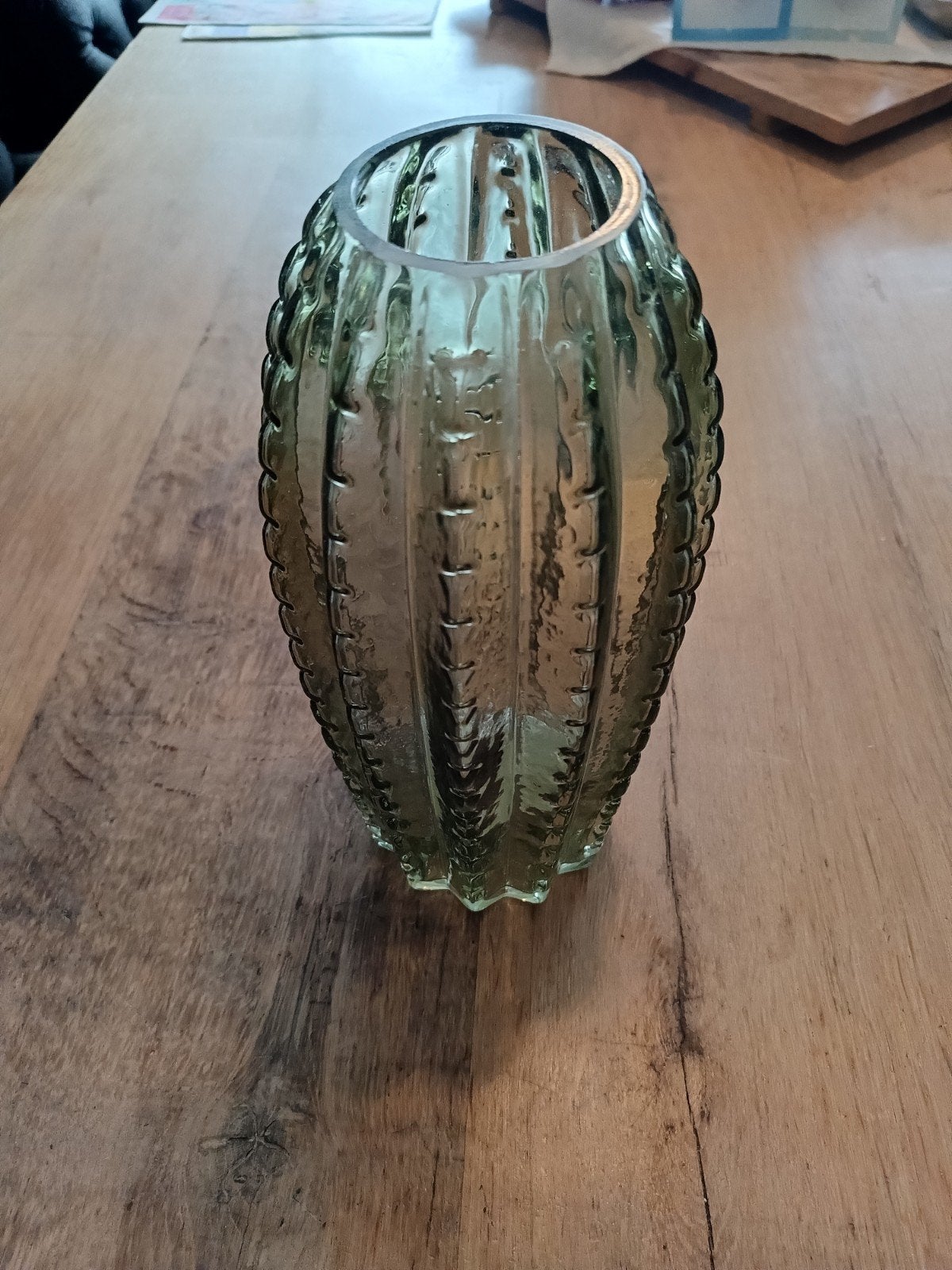 Cactus vaas, Huis en Inrichting, Ophalen, Nieuw