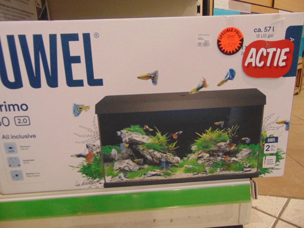 Aquariumsale in Assen., Ophalen, Nieuw, Leeg aquarium
