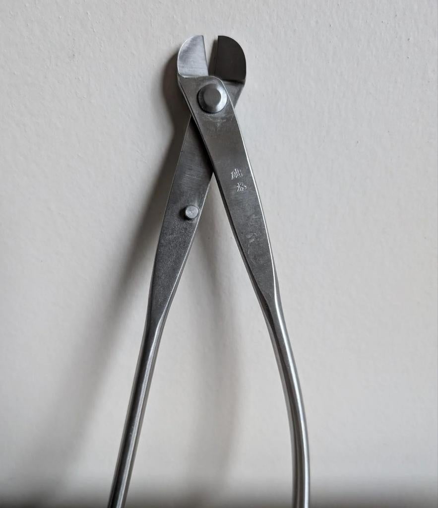Draadstang 21 cm Steenless Steel Nieuw, Bloeit niet, Halfschaduw, Minder dan 100 cm, Overige soorten