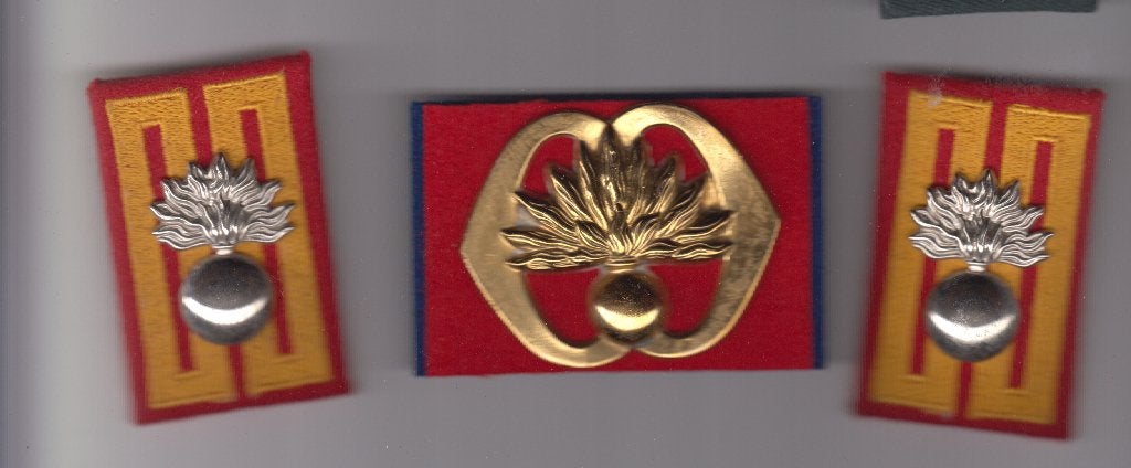 baretembleem en set kraagpatten Garde Grenadiers, Ophalen of Verzenden, Landmacht, Nederland, Embleem of Badge