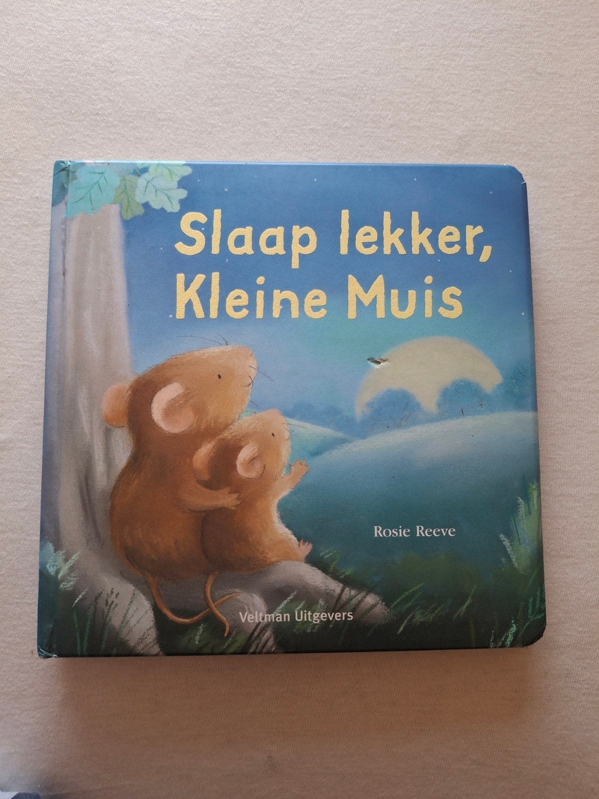 Slaap lekker, Kleine Muis - Rosie Reeve, Ophalen of Verzenden
