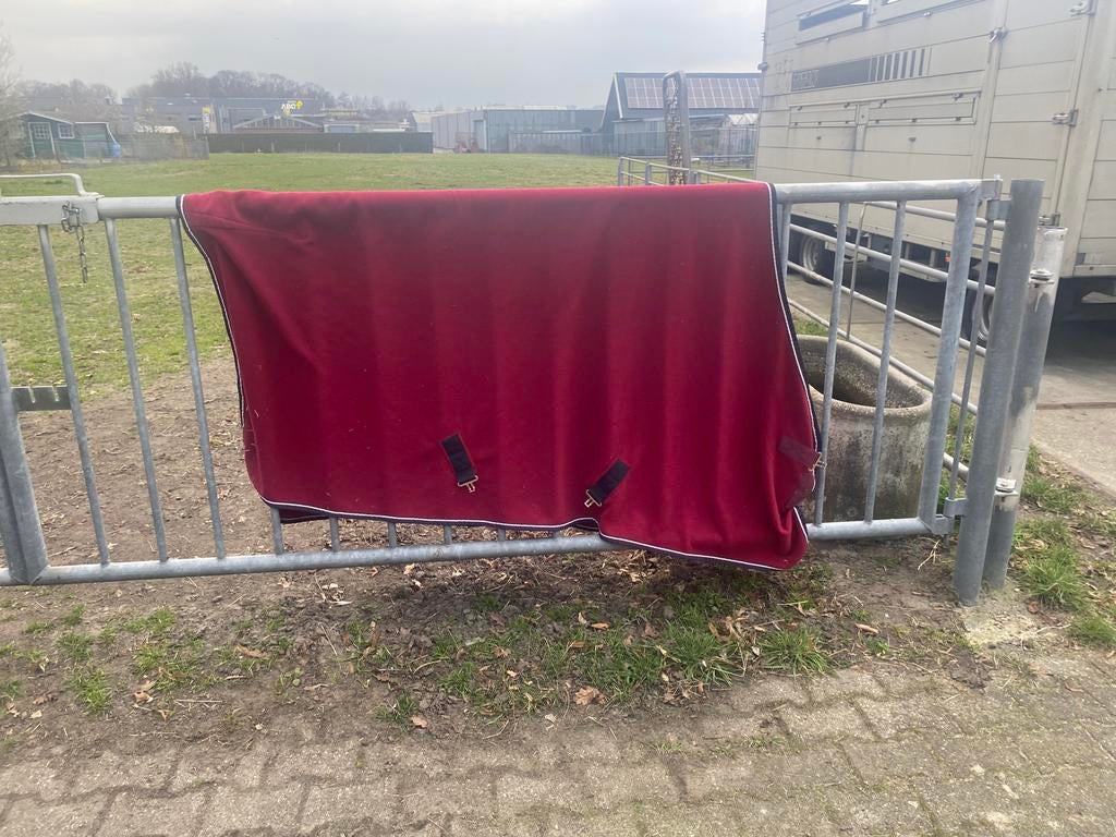 Zweetdeken eskadron, Dieren en Toebehoren, Paarden en Pony's | Dekens en Dekjes, Ophalen of Verzenden, Gebruikt