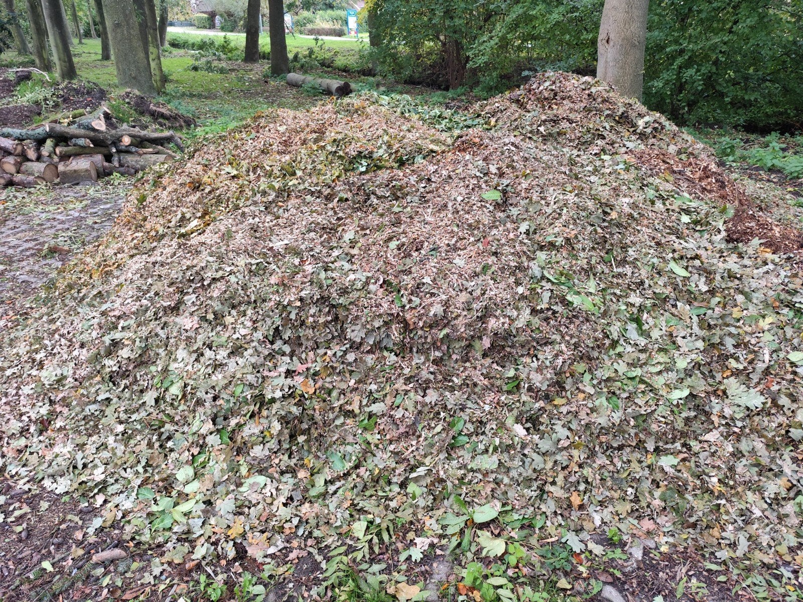 Verse houtsnippers voor in de tuin, Tuin en Terras, Ophalen, Overige typen