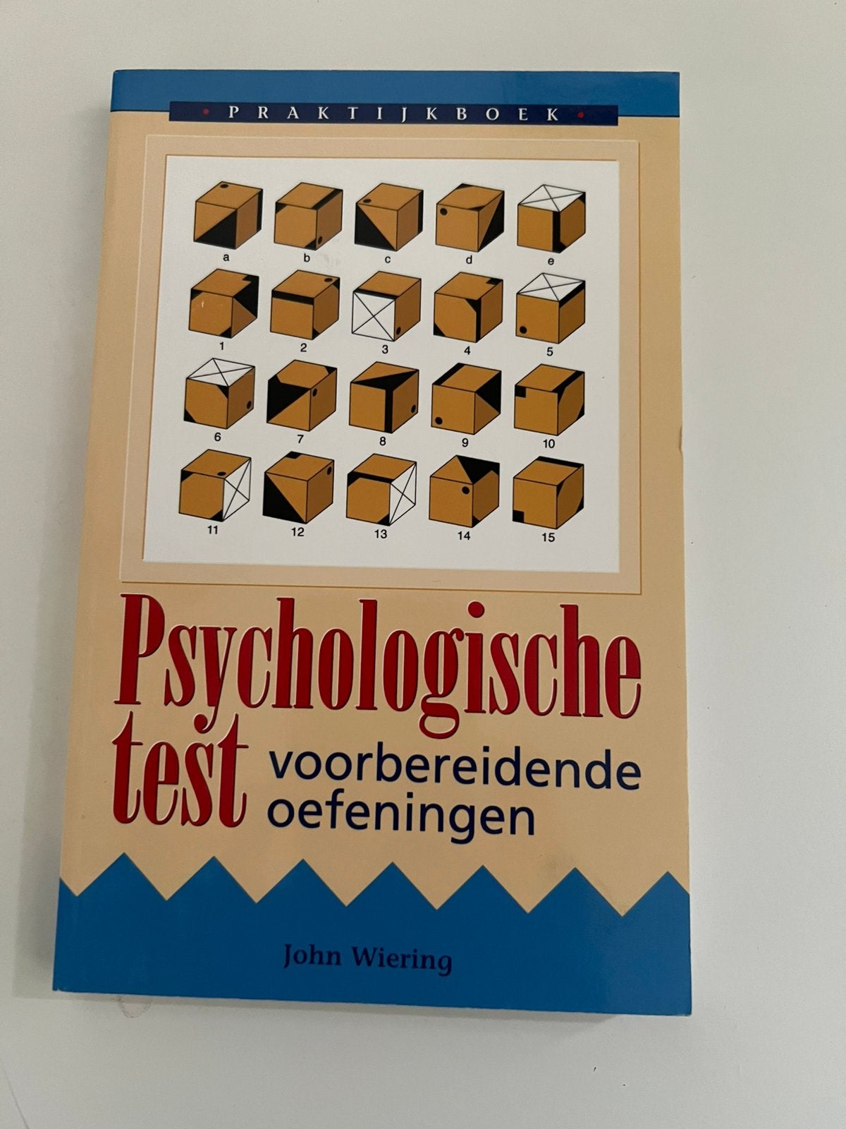 Psychologische test John Wiering, Ophalen of Verzenden, Zo goed als nieuw, Management