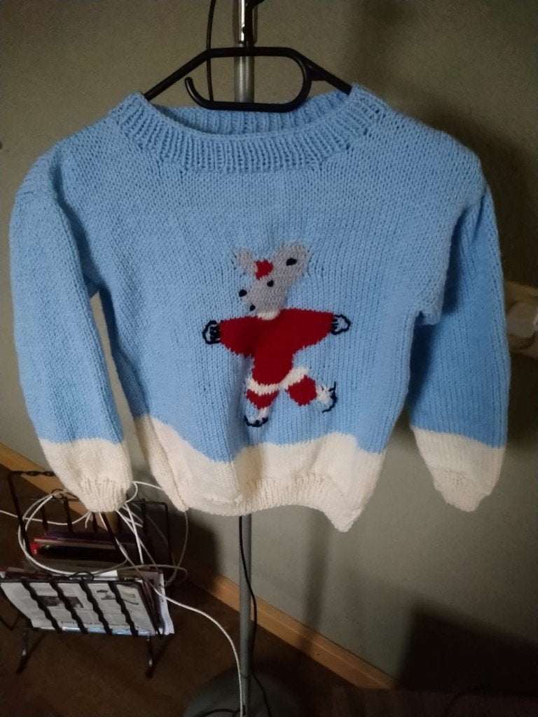 kindertrui, Ophalen of Verzenden, Nieuw, Meisje, Trui of Vest