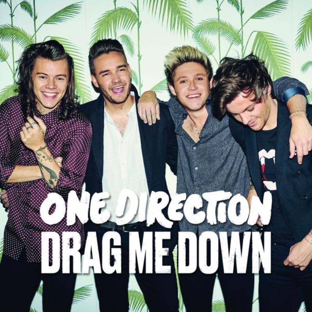 One Direction - Drag Me Down (PROMO), Cd's en Dvd's, Ophalen of Verzenden, Zo goed als nieuw, Overige genres