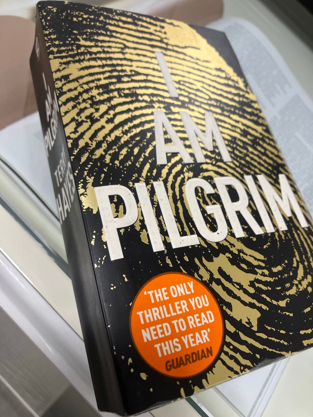I Am Pilgrim - Terry Hayes (Thriller), Ophalen of Verzenden, Zo goed als nieuw, Wereld overig