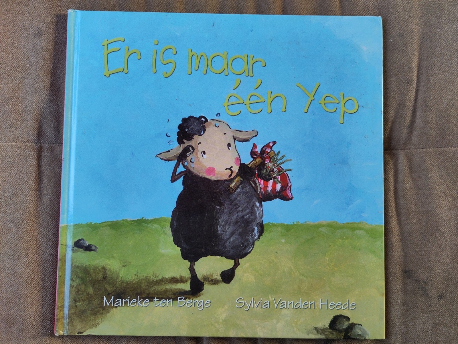 Er is maar één Yep, Ophalen of Verzenden, Zo goed als nieuw, Sylvia Vanden Heede, Prentenboek