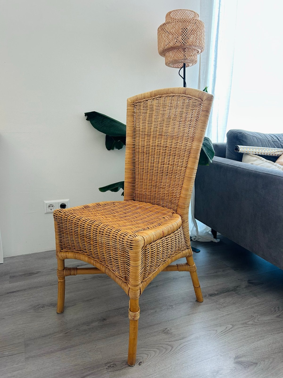 2 Rotan eetkamerstoelen, Ophalen, Gebruikt, Overige kleuren, Riet of Rotan