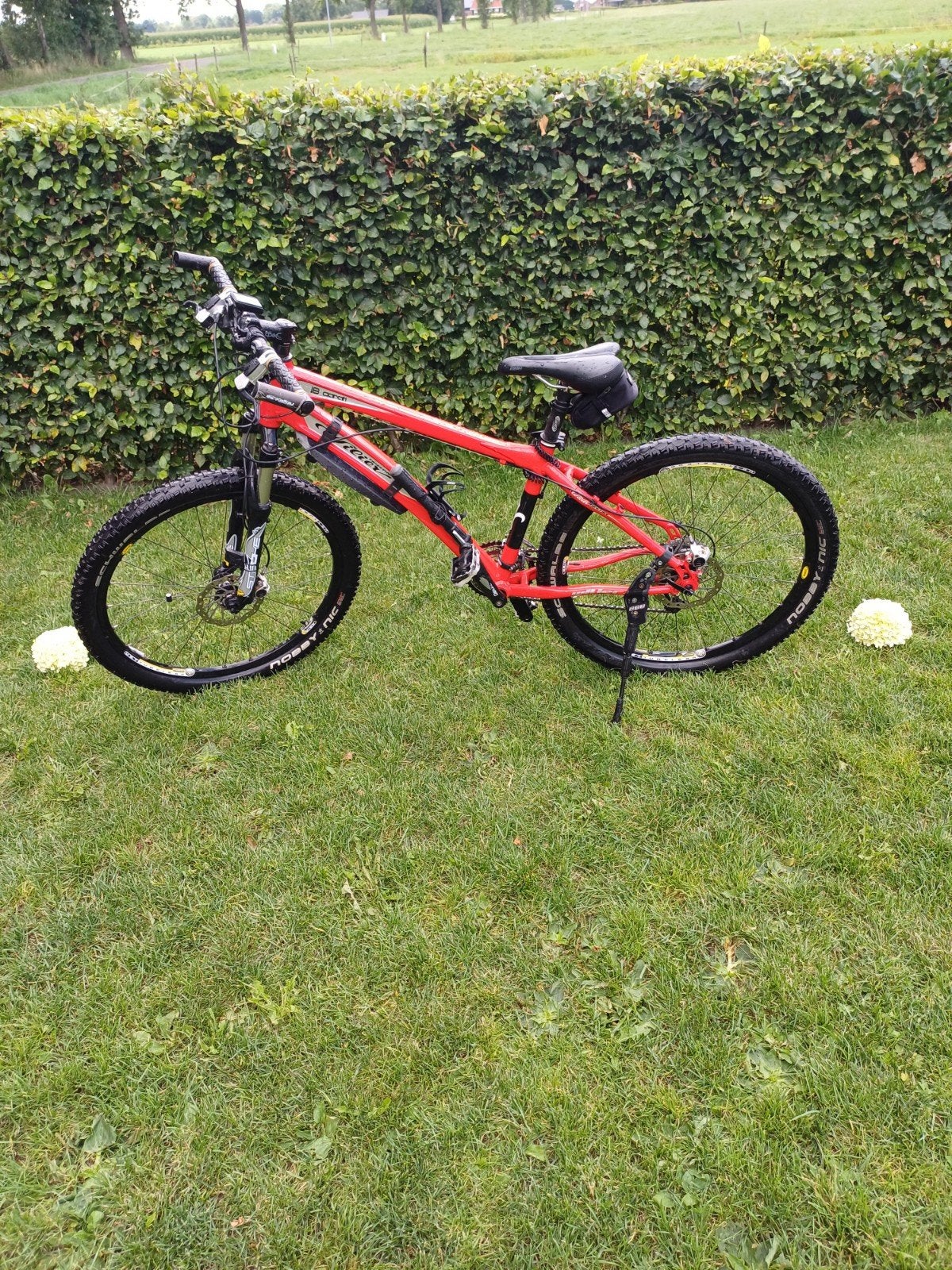 Wilier Triestina Pro Race Mountainbike - Zo goed als nieuw, Hardtail, Heren, 49 tot 53 cm, Zo goed als nieuw