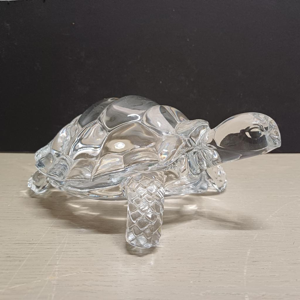 GLASKUNST SCHILDPAD, Ophalen of Verzenden, Volle zon, Minder dan 100 cm