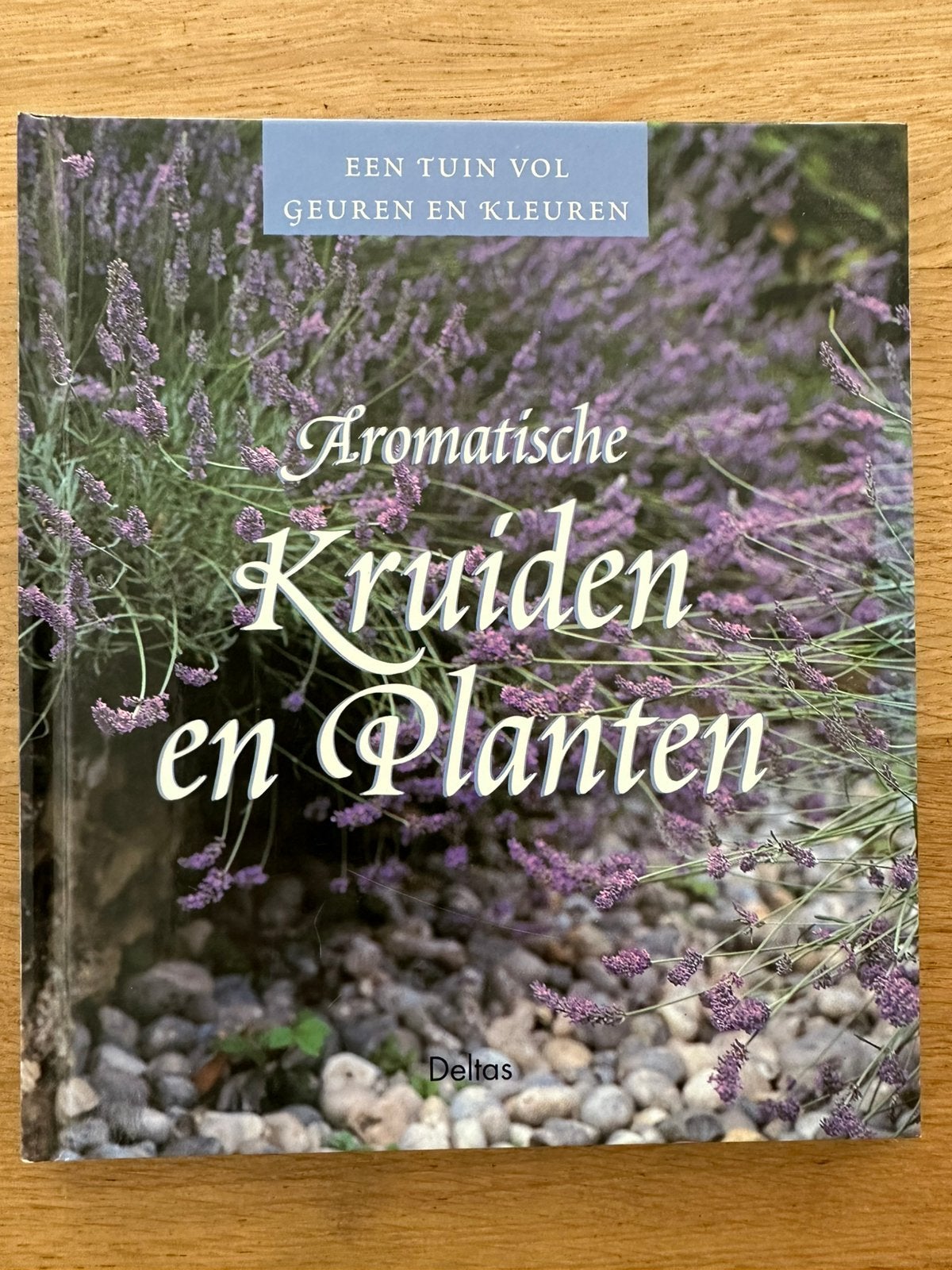 Aromatische Kruiden en planten, Ophalen of Verzenden, Nieuw