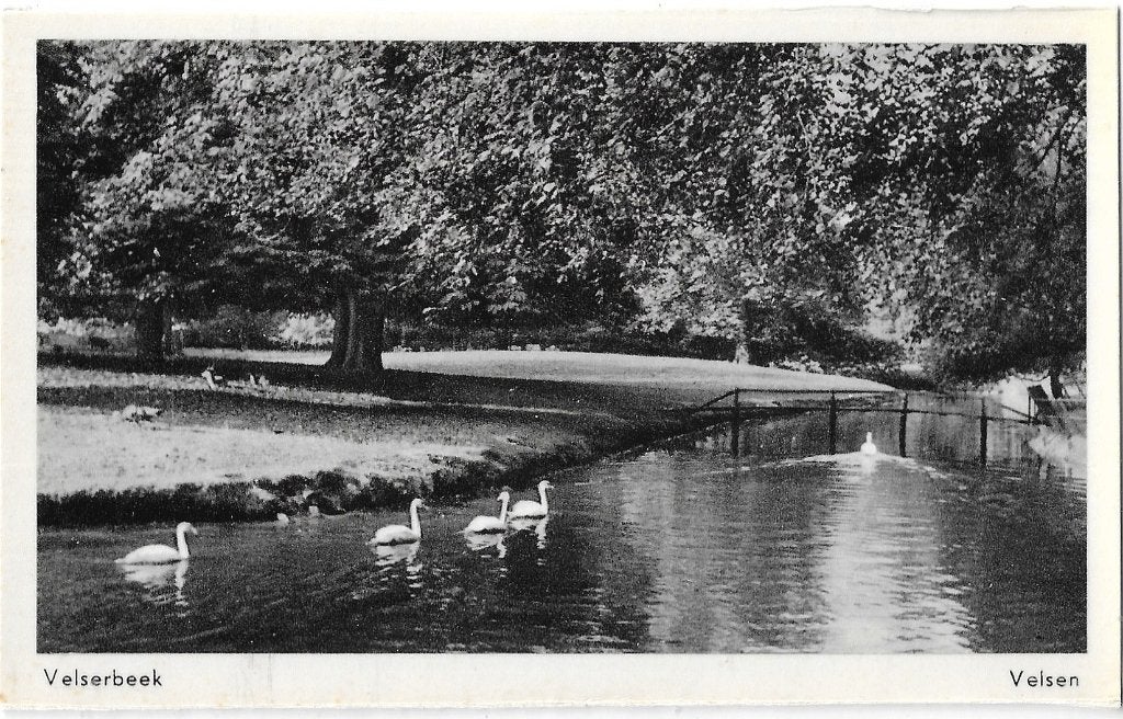 AK Velsen - Velserbeek, Verzenden, 1940 tot 1960, Ongelopen, Noord-Holland