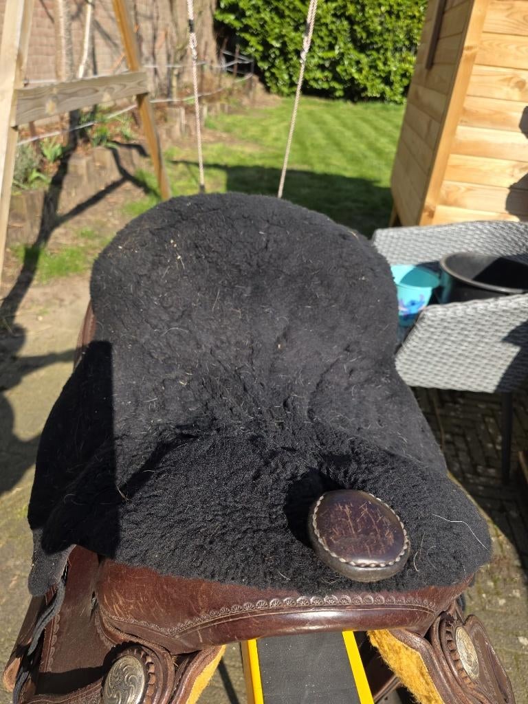 Zadelbontje western, Dieren en Toebehoren, Ophalen of Verzenden, Gebruikt