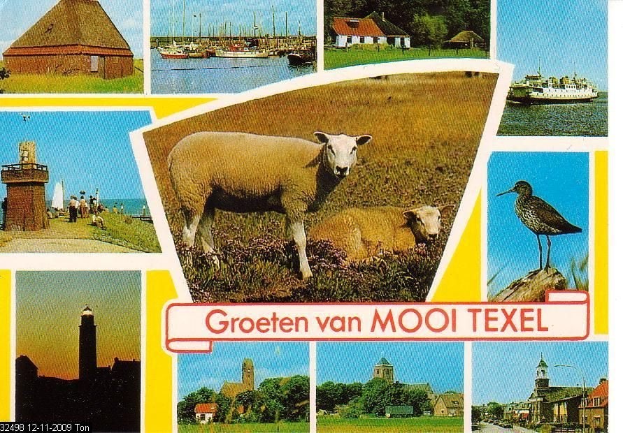 Ansichtkaart 	Texel	11-luik	Schapen, Verzenden, 1980 tot heden, Gelopen, Waddeneilanden
