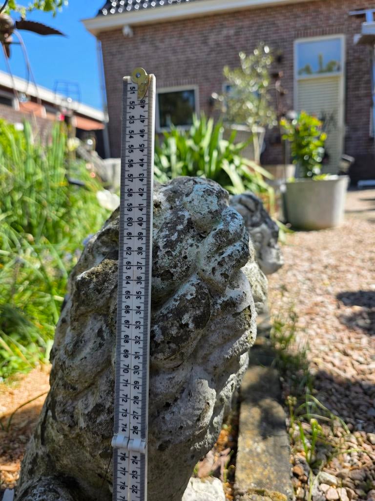 2 betonnen leeuwen voor tuin of oprit, Tuin en Terras, Tuinbeelden, Ophalen of Verzenden, Gebruikt, Beton, Dierenbeeld