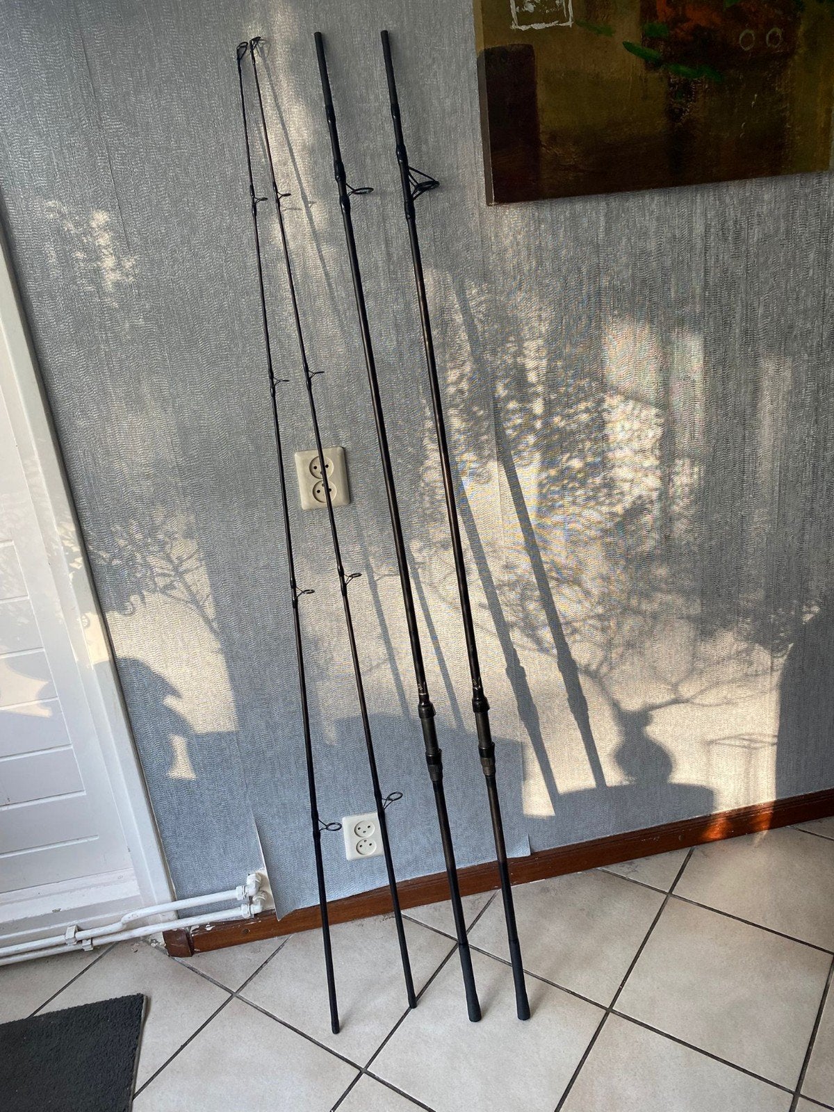 2x Avid Exodus Pro 10ft 3.5lb Karperhengels, Watersport en Boten, Hengelsport | Karpervissen, Ophalen of Verzenden, Zo goed als nieuw