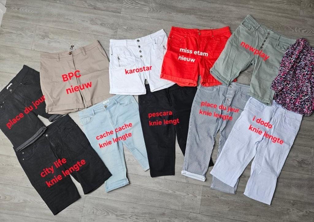Grote partij dames knie broeken en shorts, Overige kleuren, Kort, Maat 46/48 (XL) of groter, Ophalen of Verzenden