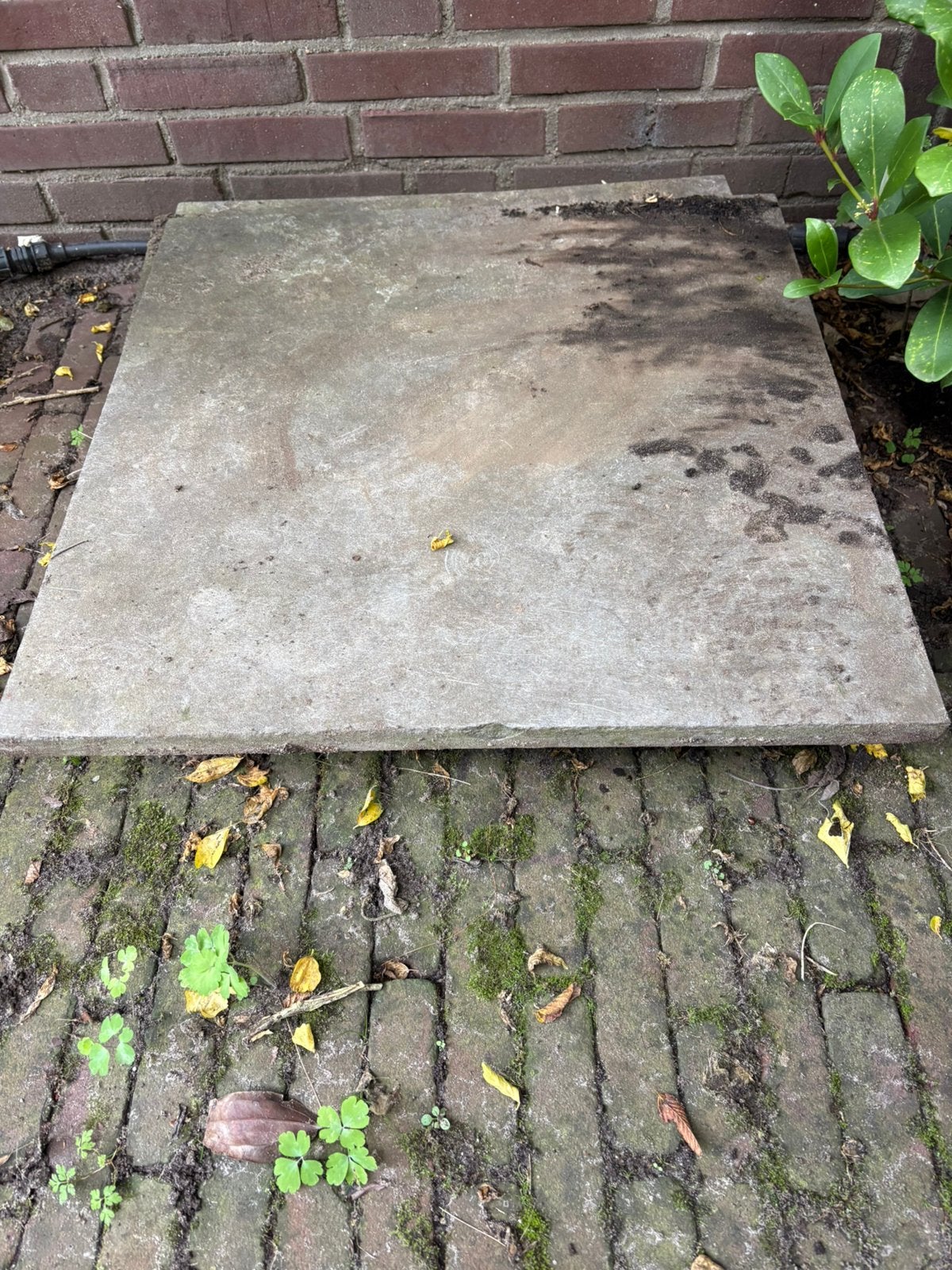 6 tegels 60x60, Ophalen, 60 cm of meer, Hardsteen, 60 cm of meer